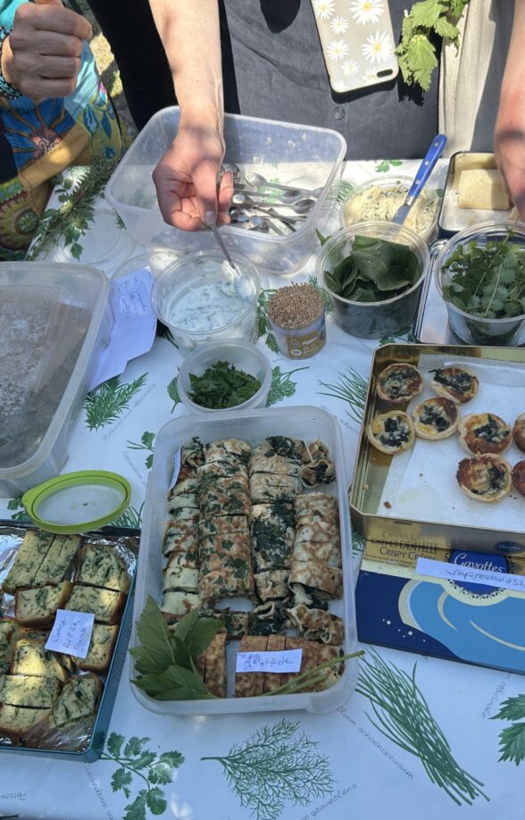 Sortie nature : le secret des plantes comestibles_Carrières-sous-Poissy