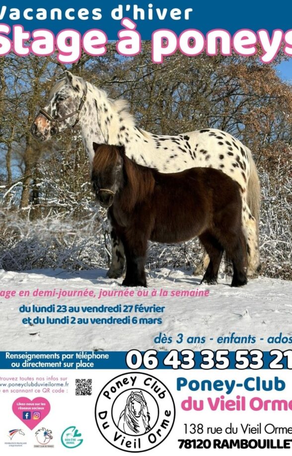 Stage à poney_Rambouillet