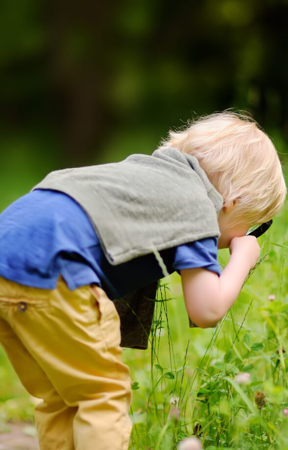 Arboretum de Chèvreloup - Petits botanistes_Le Chesnay-Rocquencourt