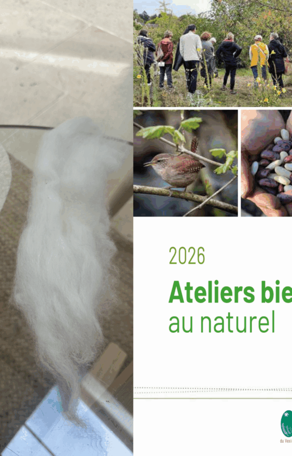 semelles en laine feutrée