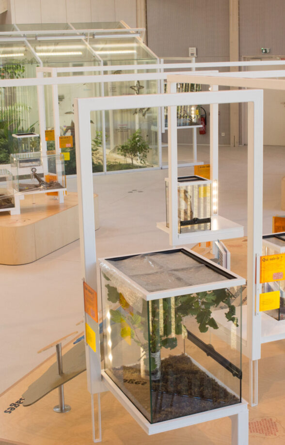 Vacances d'Hiver à la Maison des Insectes_Carrières-sous-Poissy