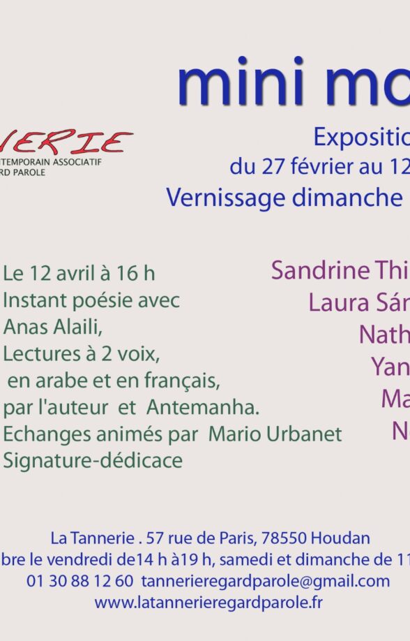 Exposition "mini mondes" à la Tannerie_Houdan