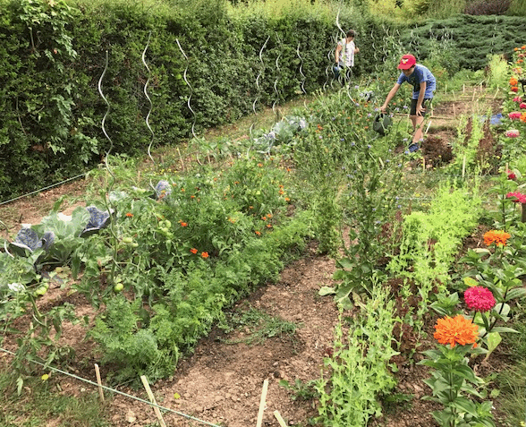 Arboretum de Chèvreloup - Atelier Potager_Le Chesnay-Rocquencourt