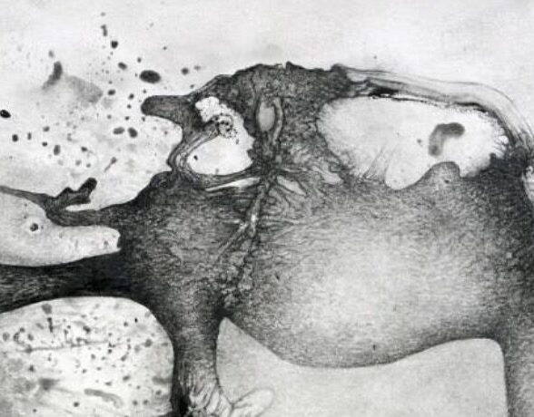 Galerie l'Ecu de France - Exposition: Noir & blanc_Viroflay