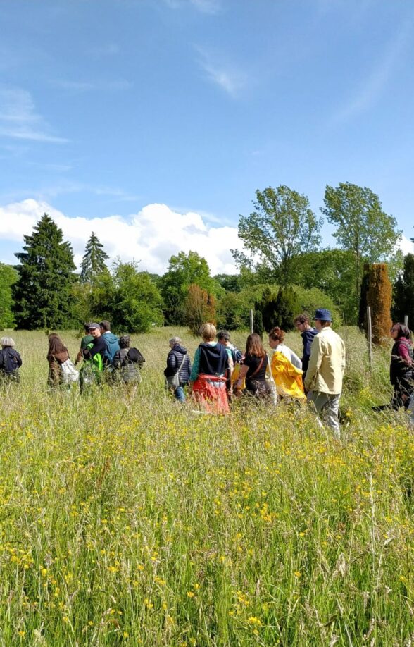 Arboretum de Chèvreloup - Bébés botanistes_Le Chesnay-Rocquencourt