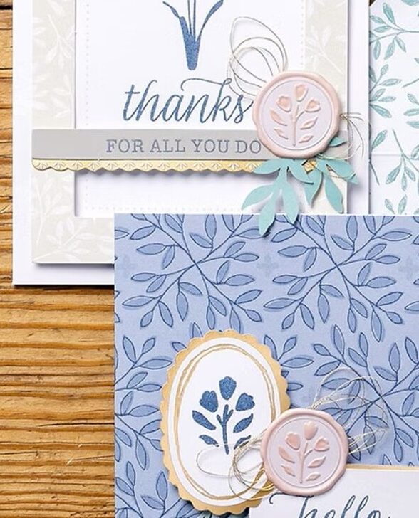 Cool Beans - atelier boite mystère_Versailles