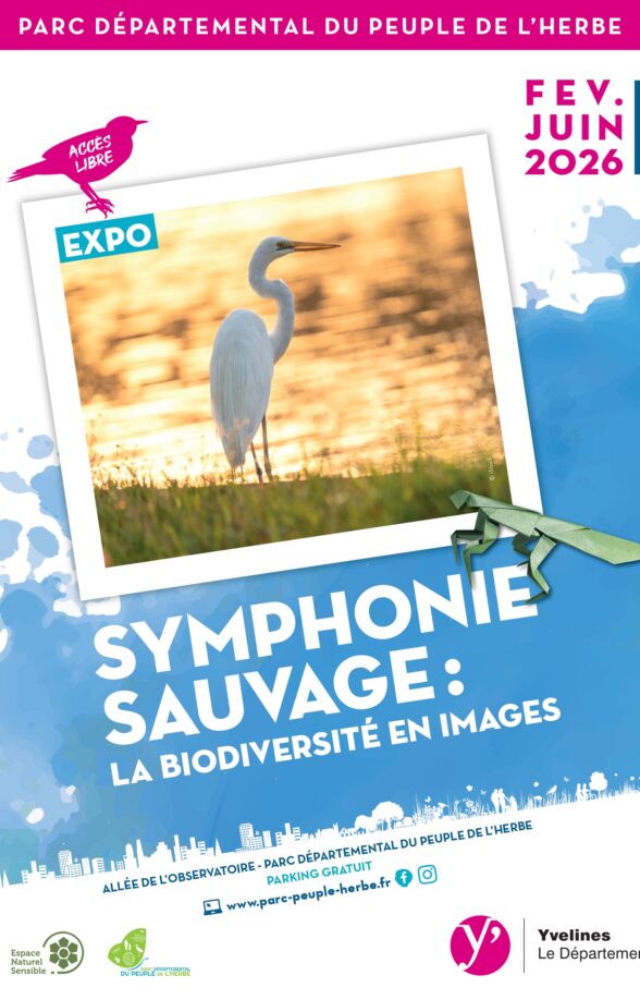 Exposition "Symphonie sauvage : la biodiversité en images"_Carrières-sous-Poissy