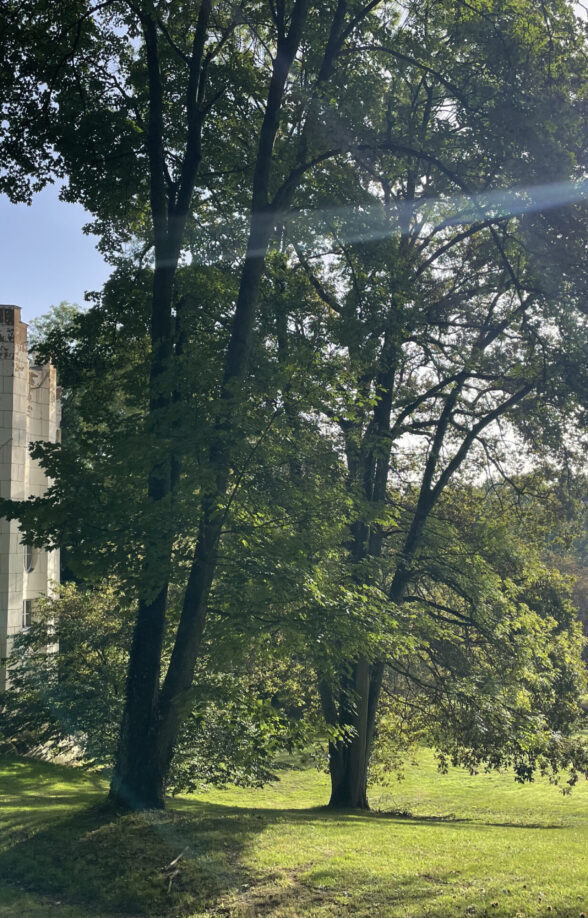Séance de yoga au désert de Retz_Chambourcy