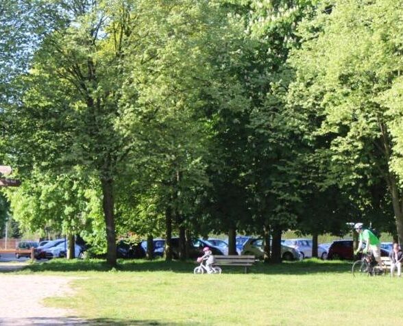 Les sorties des Amis de la Forêt_Saint-Germain-en-Laye