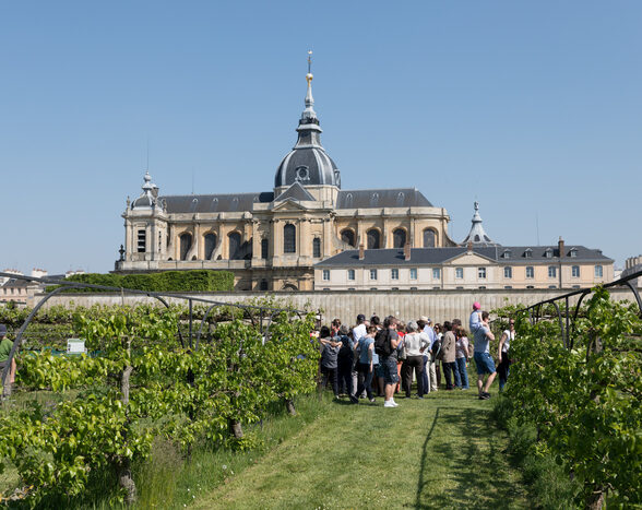 Journées Européennes du Patrimoine 2024 - Potager du Roi
