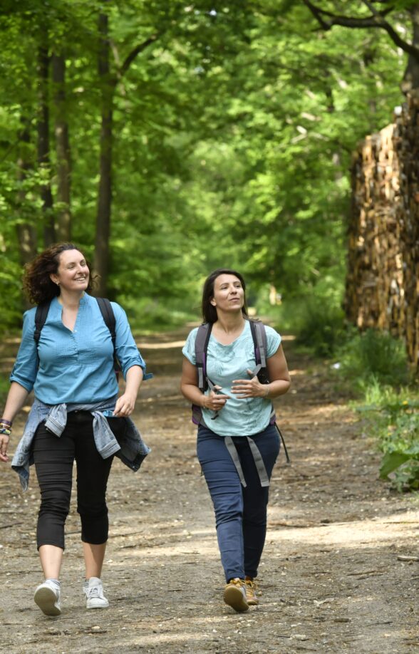 Les arbres remarquables en famille en forêt de Saint-Germain