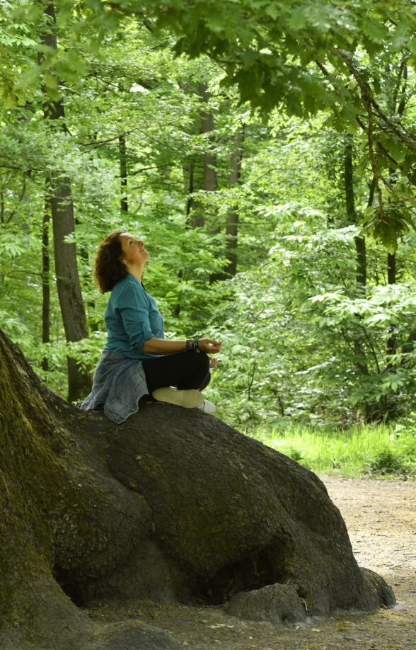 Les arbres remarquables en forêt de Saint-Germain