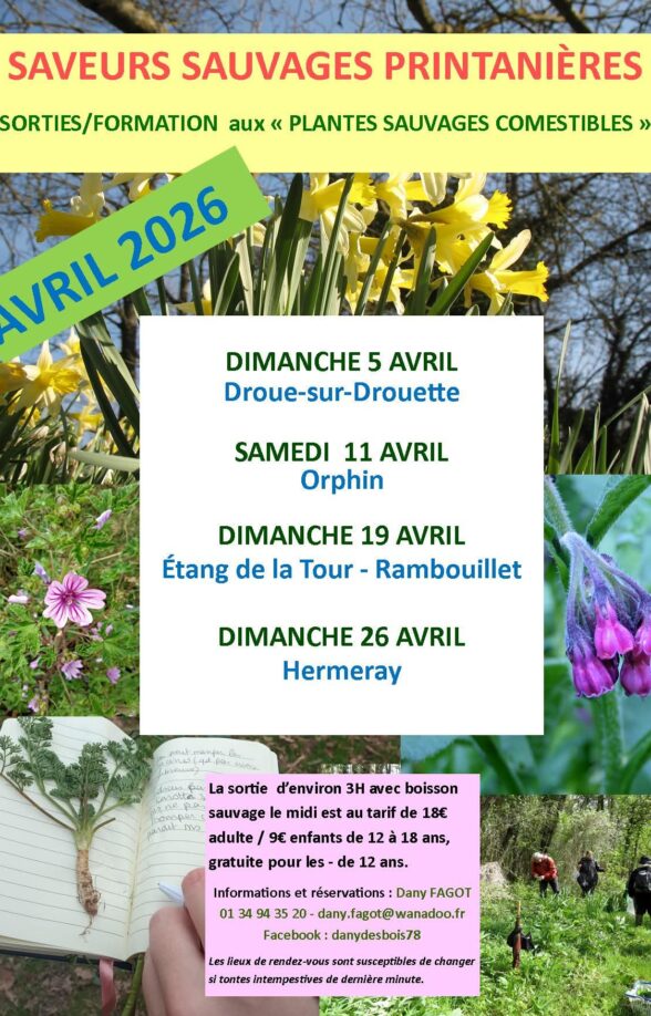 Saveurs sauvages printanières_Orphin