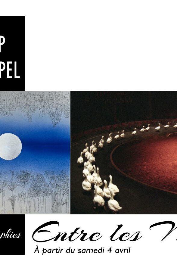 Exposition "Entre les Mondes" Musée GRATALOUP