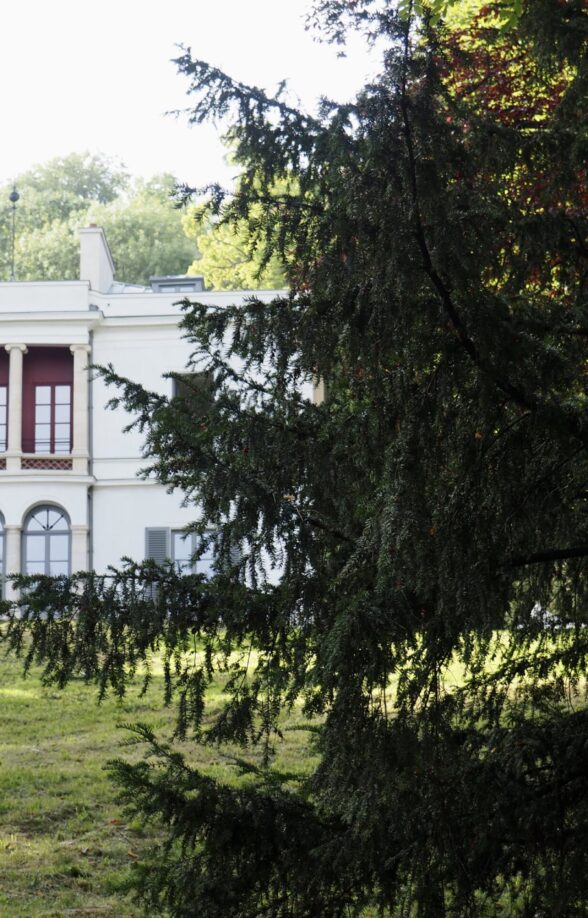 #JEP2025 - 3e Festival Georges Bizet – 150 ans de Carmen à Bougival_Bougival