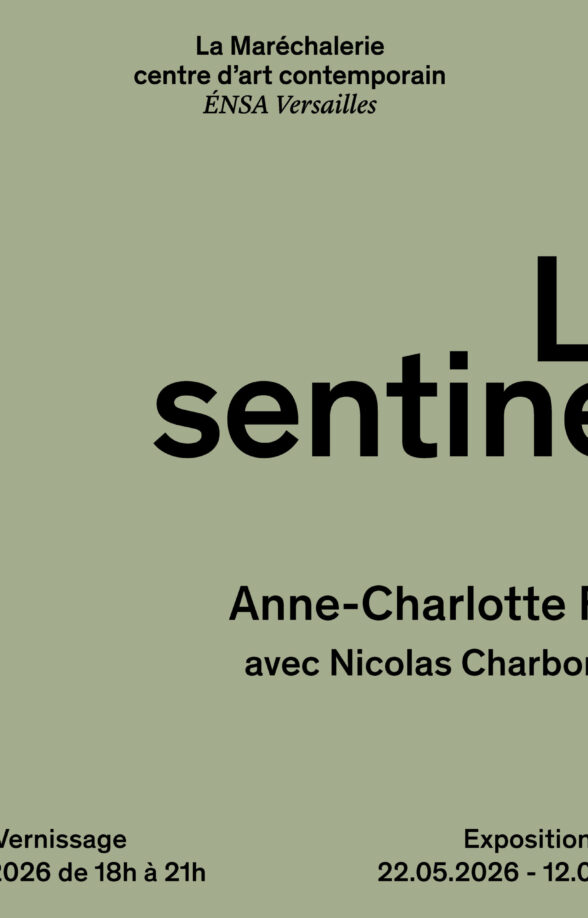 Exposition «L'île sentinelle» d'Anne Charlotte Finel avec Nicolas Charbonnier