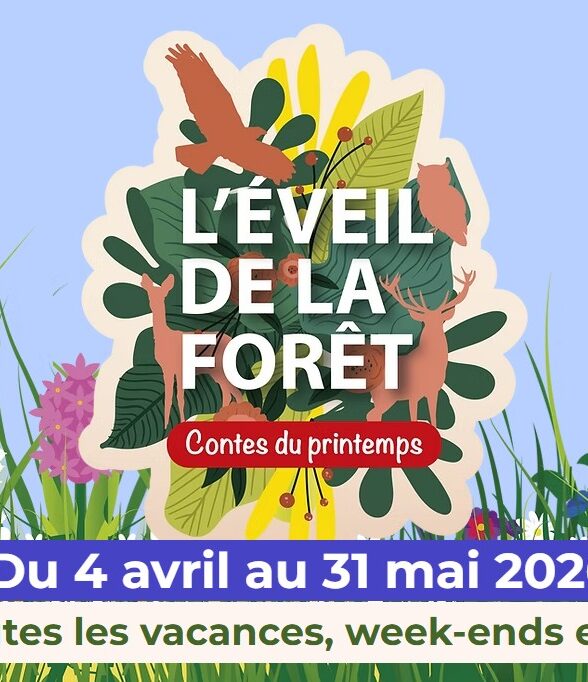 L'éveil de la forêt_Sonchamp