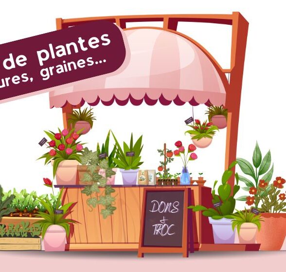 Trocs de plantes
