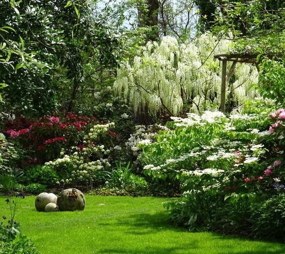 À la découverte d'un jardin à l'anglaise_Le Perray-en-Yvelines