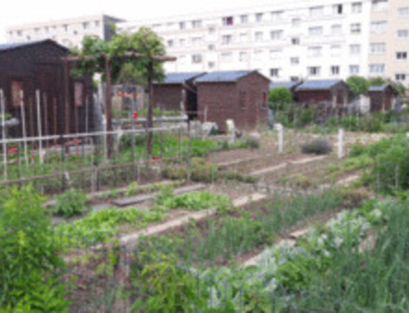 Jardins familiaux des Petits-Bois - Rendez vous au Jardins_Versailles