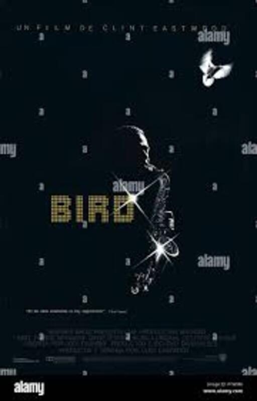 Auditorium de Viroflay - Projection "Bird"_Viroflay
