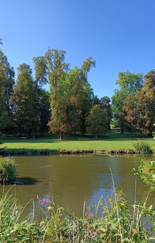 Randonnée accompagnée dans le Domaine National de Rambouillet_Rambouillet