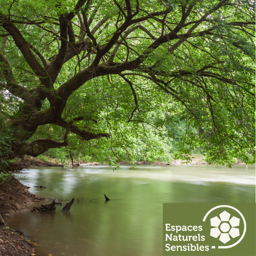 Randonnée nature : des arbres et de l'eau_Sonchamp