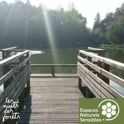 Sortie nature : Balade sensorielle_Bullion
