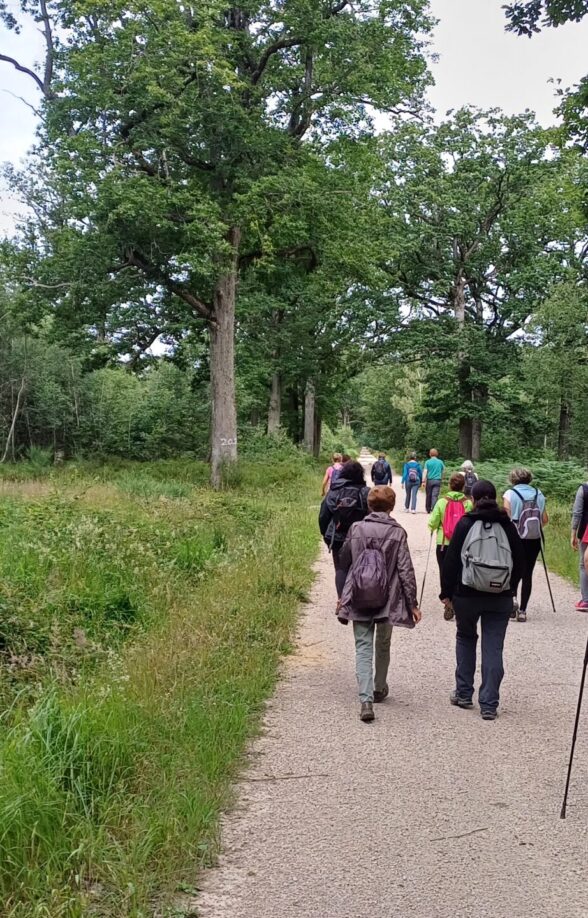 Randonnée accompagnée à Auffargis_Auffargis