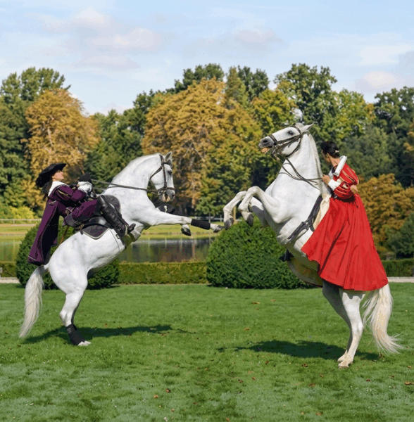 Spectacles équestres sur l'histoire de France_Maisons-Laffitte
