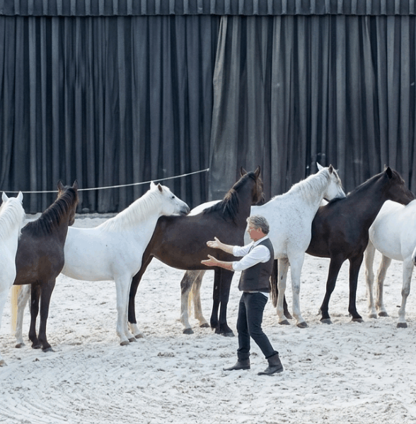 Spectacle de Jean-François Pignon q_Maisons-Laffitte