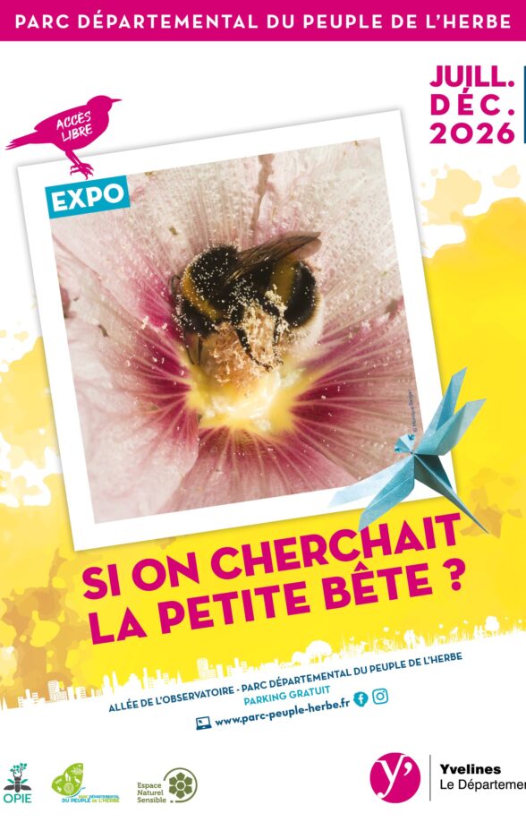 Exposition "Si on cherchait la petite bête"_Carrières-sous-Poissy