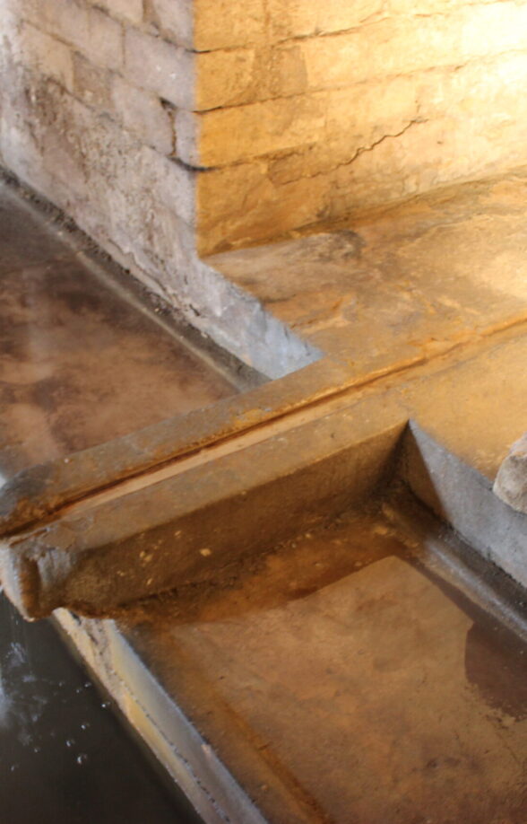Visite de la Fontaine de la Pissotte, la source cachée_Saint-Germain-en-Laye