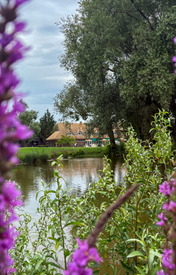 Journées Portes Ouvertes au Golf de l'Île Fleurie_Carrières-sur-Seine