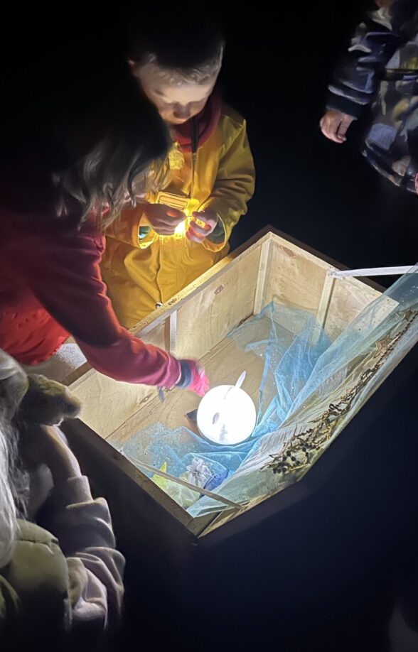 Sortie nature : Visite nocturne contée "la malle aux étoiles"_Carrières-sous-Poissy