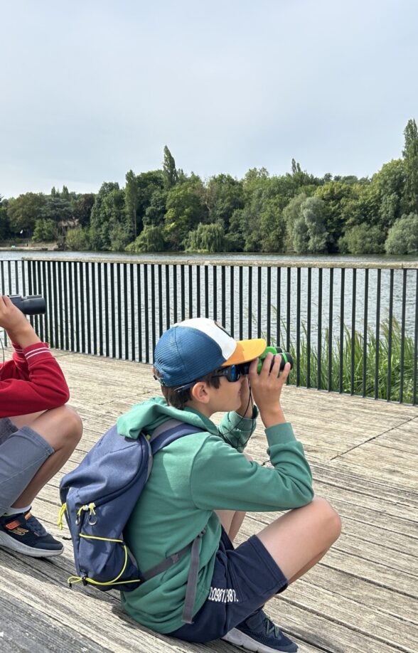 Sortie nature : Comment font-ils pour trouver leur chemin ?_Carrières-sous-Poissy