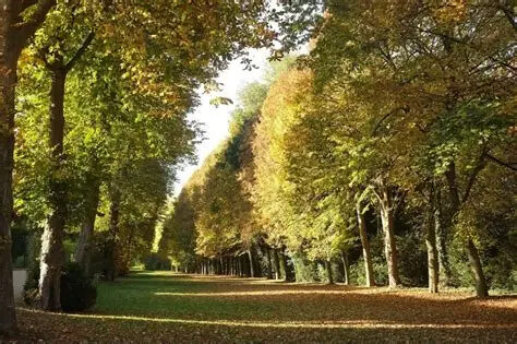 Parc du Château d'Epône_Épône