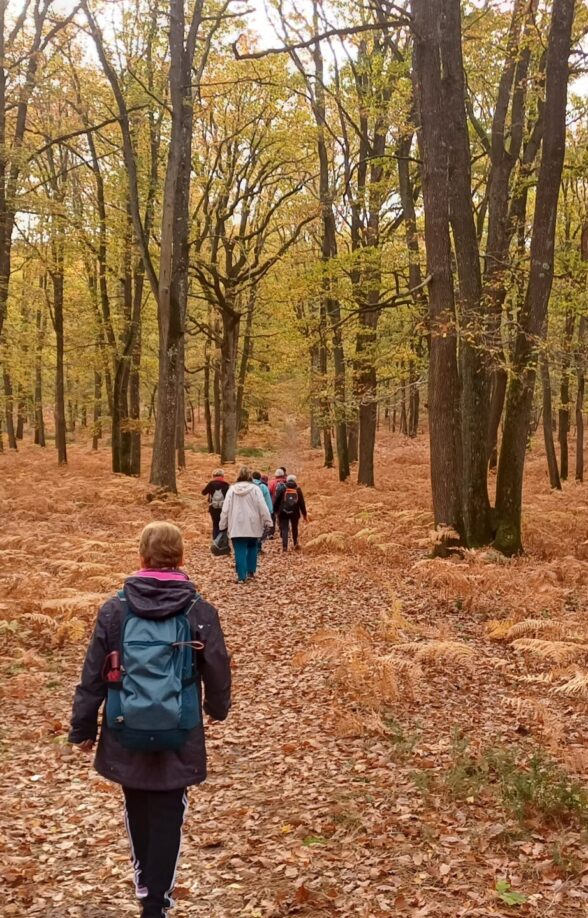 À table au bout du chemin_Prunay-en-Yvelines